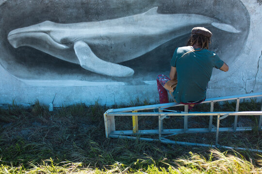 Rear view of male freelance artist sitting on ladder making beautiful whale mural painting on wall