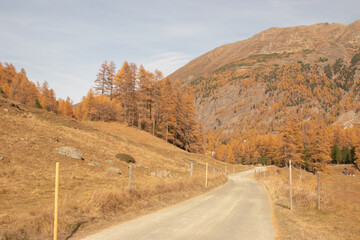 Colors of the autumn in St. Moritz..
