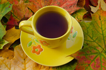 Yellow cup with hot tea colored maple leaves. Cozy autumn concept