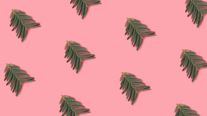 Trendy New year pattern with green fir branches on pastel pink background.  Minimal Christmas tree wallpaper