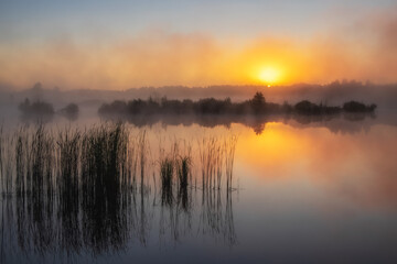 Fototapeta na wymiar Misty morning on the lake