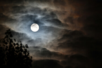 Fototapeta na wymiar beautiful full moon surrounded by clouds, night sky and stars