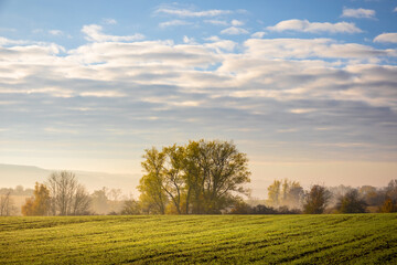 Foggy sunny morning in autumn landscape under blue sky