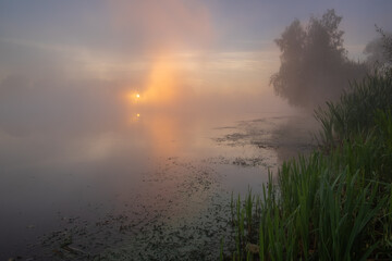 morning mist over the river