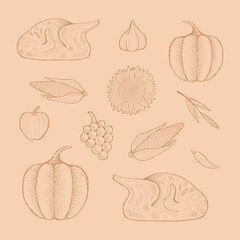 Autumn harvest illustration. Set of hand drawn style, pumpkin, turkey, garlic, corn, apple, grape and spicy.
