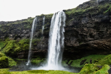 Fototapeta na wymiar Seljalandsfoss Wasserfall in Island / Iceland