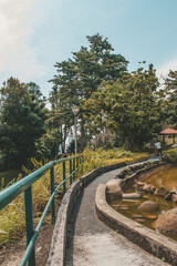 Singapore Nature Photography