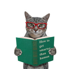 A gray cat in eyeglasses reads a green book called How to get smarter than human. White background....