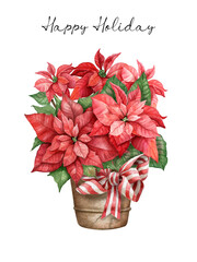 Red poinsettia flower in the pot with stripped bow. Watercolor illustration.The Christmas winter holiday bouquet isolated on the white background