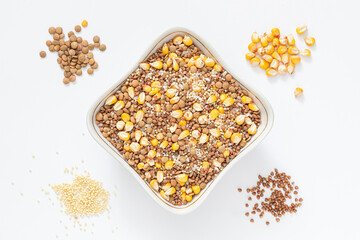 seeds on a white background