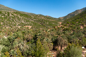 Fototapeta na wymiar the paradise valley park in the Idaoutanane natural park north of agadir - Morocco