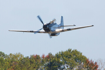P-51 Mustang Fighter Airplane