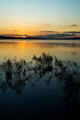Couché de soleil sur un lac, des silhouettes de plantes au premier plan. Des nuages couvrent le soleil.