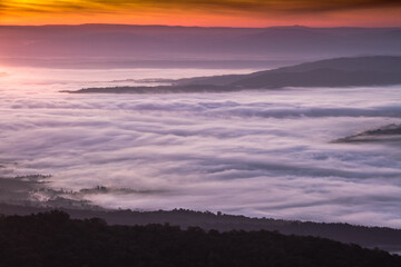 sea of mist in the morning mountain