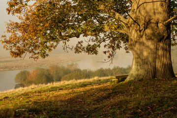 Fototapeta premium West Sussex park, 
