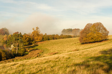 Fototapeta premium Autumn colours at Petworth park, West Sussex