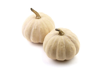 Decorative mini pumpkins isolated on white