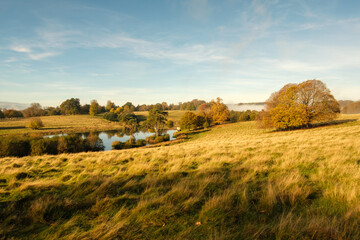 Fototapeta premium Autumn colours at Petworth park, West Sussex