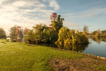 Autumn colours at Petworth park, West Sussex