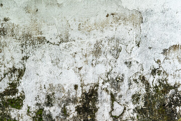 Abstract old dirty dark mossy plaster cement concrete wall texture copy space background