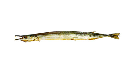 Smoked garfish isolated on a white background