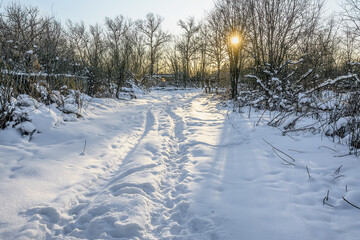 Remains of old wooden houses in the village of Ust-Slavyanka in the area of the construction of a new residential complex.