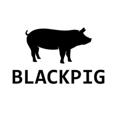 PIG LOGO, DESIGN, TEMPLATE, BLACK