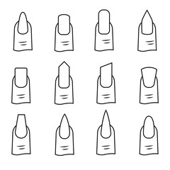 Set different nail shapes.  Collection for manicure.  Vector illustration