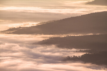fog morning in the mountain