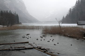 der Leopoldsteinersee im Winter 