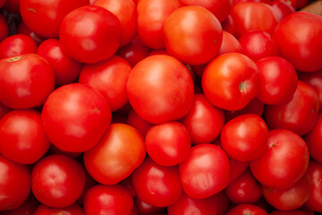 Ripe tomatoes flaunt on the counter of a grocery store