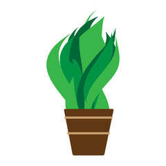 Leaves flowers pot. Illustration beautiful vector cartoon of flowerpot nature blossom flowers plant and botanical