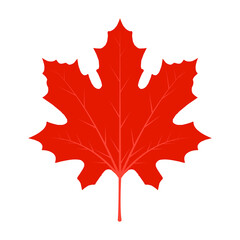 Leaf red maple maple vector canada icon. Leaf maple illustration. Leaf vector symbol maple. Clip art leaf vector