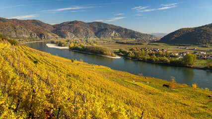 Vineyards near Weissenkirchen on a sunny day in autumn