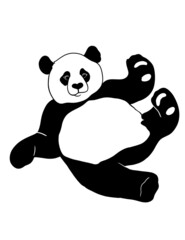 Panda illustration