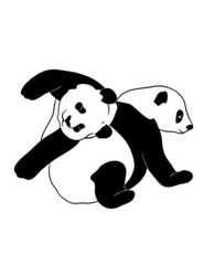 Pandas illustration © aliaross