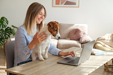 Young beautiful woman sitting by the table freelancing at home in the living room. Female working from comfort of her home with jack russell terrier puppy. Interior, background, close up, copy space.