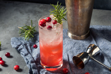Boozy Holiday Cranberry Gin Fizz Cocktail