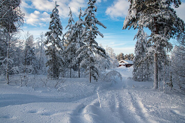 Weg zu einem eingeschneiten rotem Holzhaus Bungalow weit hinten im Wald in Finnland Lappland Muonio