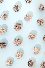 Silver pinecones on a blue background. Winter background wallpaper