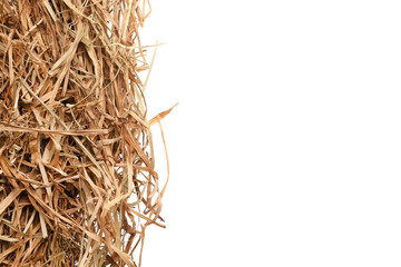 Dried hay on white background, top view