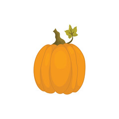 Pumpkin icon fruit, in cartoon drawings. Vector illustration of pumpkin for Halloween or harvest, badges for labels, packaging