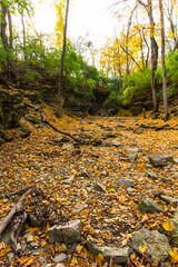 Indian Village Canyon in Autumn, Duranceau Park, Columbus, Ohio