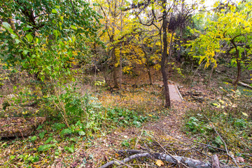 Indian Village Canyon in Autumn, Duranceau Park, Columbus, Ohio