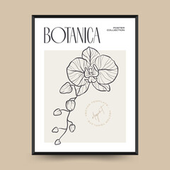 Elegant Botanical abstract wall arts. Floral vector poster collection.