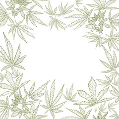 A frame made of cannabis leaves in an engraved style