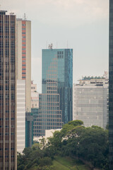 buildings in the center of Rio de Janeiro seen from the top of the Santa Teresa neighborhood in Brazil.