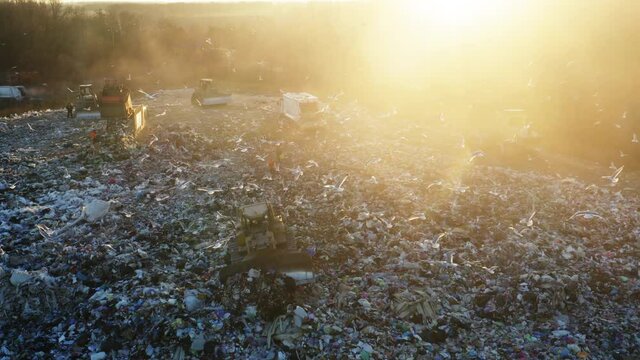 Aerial view of a city dump. A flock of birds is circling over the garbage dump. Garbage trucks unload garbage. Bulldozers crush rubbish and waste