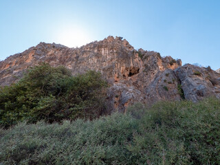 Wadi, Dry Gorge with some plants and trees