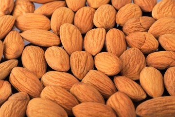The delicious fresh almond nut on deck